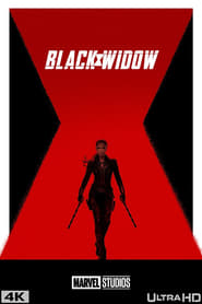 Чорна вдова постер