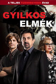 Gyilkos elmék 14. évad plakát
