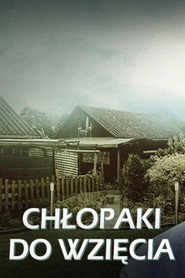 Chłopaki do wzięcia (2012)