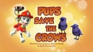 Pups Save the Crows