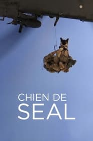 Chien de SEAL