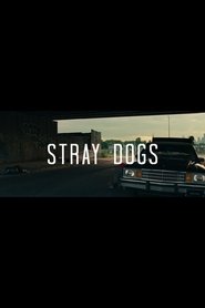 Stray Dogs