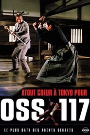 OSS 117 – Teufelstanz in Tokio