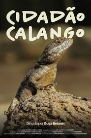 Cidadão Calango (2025)
