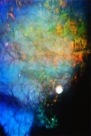 Poster Echoes 2015