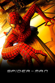 Poster for Spider-Man