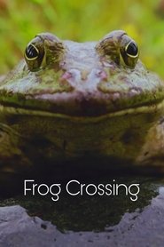 Poster Frog Crossing 1996