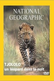 Poster National Geographic : Tjololo, Un léopard dans la nuit 1970