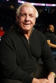 Ric Flair Ric Flair