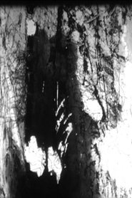 Poster Elez 2002