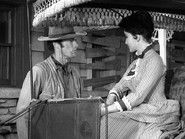 Incident in the Garden of Eden