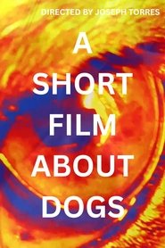 A Short Film About Dogs