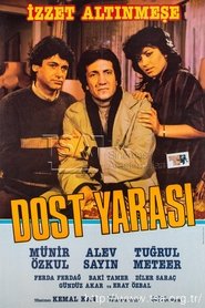 Poster Dost Yarası