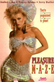 Pleasure Maze постер