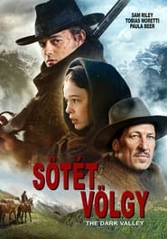 Sötét völgy (2014)