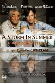 A Storm in Summer постер