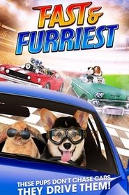 Fast and Furriest постер