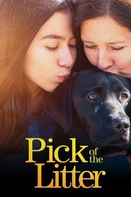 Pick of the Litter постер