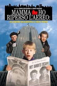 Mamma, ho riperso l'aereo: Mi sono smarrito a New York 1992 cineblog
completo movie ita sottotitolo in inglese senza cinema scarica