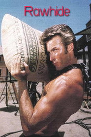 Rawhide постер