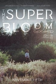 The Superbloom (2024)