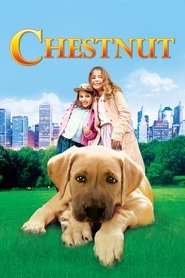 Chestnut: El héroe de Central Park poster