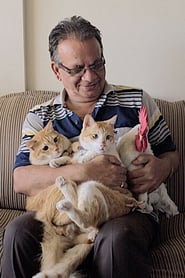 Tungrus Stream Deutsch Kostenlos