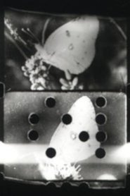Poster Flutter 1993