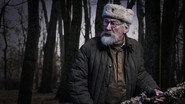 Дед Морозов