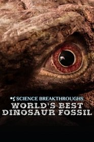 World's Best Dinosaur Fossil Film Online Se World's Best Dinosaur Fossil Film Online