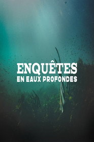 Enqu&ecirc;tes en eaux profondes
