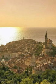 MongoDB.Entities.FuzzyString