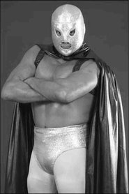 Poster El hijo del Santo