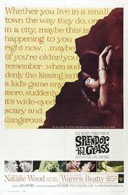 Splendor in the Grass plakat