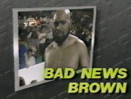May 28, 1988 - Superstars of Wrestling 91