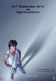 Zero - Shah Rukh Khan