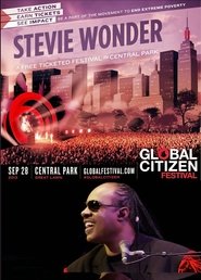 Stevie Wonder - Global citizen festival