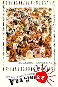 Poster A Hot Roof 1995
