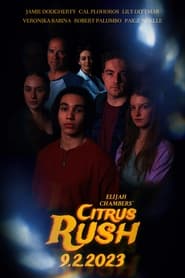 Poster Citrus Rush