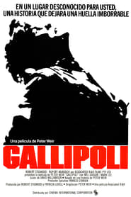 Gallipoli poster