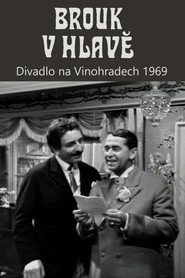Brouk v hlavě