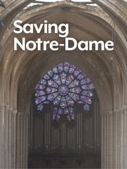 Saving Notre-Dame poszter