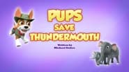 Pups Save Thundermouth