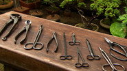 Scissors