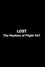 Poster Lost: The Mystery of Flight 447 2010