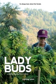 Lady Buds постер