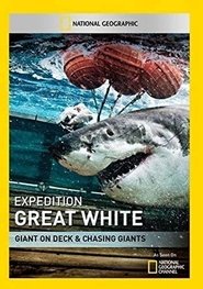Poster Shark Men - Season 1 2012