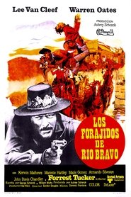 Los forajidos de Río Bravo poster