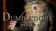 Dumbledore vs Voldemort: The Mentor and His Mirror