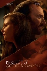 Perfectly Good Moment (2023)